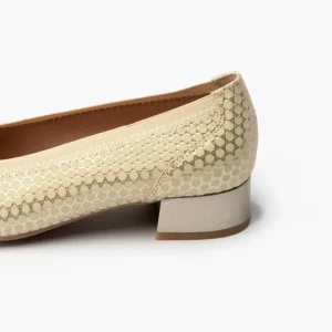 Calzaro Bailarinas | Bailarina Salón Mujer Tacon Bajo 5080 Dorado