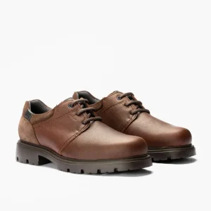 Calzaro Zapatos Con Cordones | Blucher Hombre 4761Marrón con Cordones