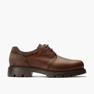 Calzaro Zapatos Con Cordones | Blucher Hombre 4761Marrón con Cordones