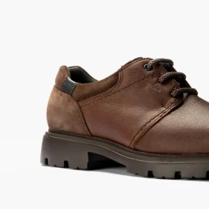 Calzaro Zapatos Con Cordones | Blucher Hombre 4761Marrón con Cordones