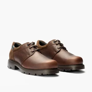 Calzaro Zapatos Con Cordones | Blucher Hombre 4761Marrón con Cordones