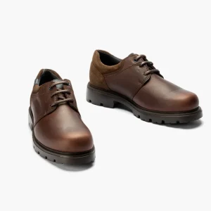 Calzaro Zapatos Con Cordones | Blucher Hombre 4761Marrón con Cordones