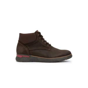 Calzaro Zapatos Con Cordones | Botas | Bota Cordones 4062 Hombre  Marrón