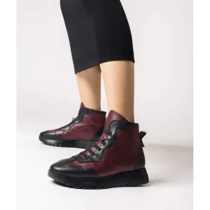 Calzaro Botas Y Botines Mujer | Botín England 2451 Burdeos