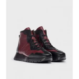 Calzaro Botas Y Botines Mujer | Botín England 2451 Burdeos