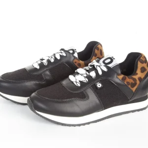 Calzaro Deportivas | Deportivas | Deportiva Sneaker Y20 Leopardo
