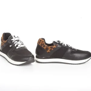 Calzaro Deportivas | Deportivas | Deportiva Sneaker Y20 Leopardo