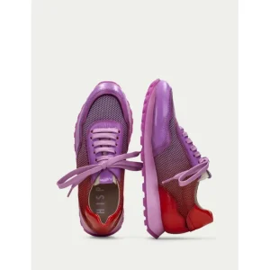 Calzaro Deportivas | Deportivo Loira 243231 Violet-Rojo.