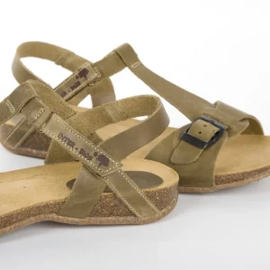 Calzaro Sandalias Bios | Sandalia 4462 Kaki .