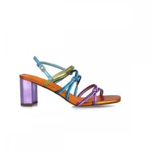Calzaro Zapatos De Tac贸n | Sandalia 24852 Pártula Multicolor.