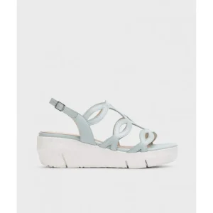 Calzaro Sandalias | Sandalia Fly 8261 Aloe Platino Celeste