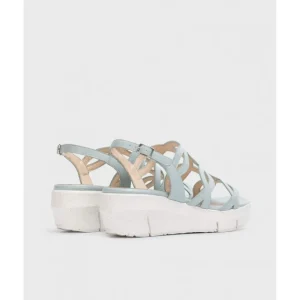 Calzaro Sandalias | Sandalia Fly 8261 Aloe Platino Celeste