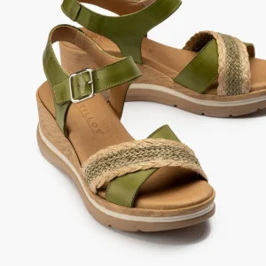 Calzaro Sandalias | Sandalia Pala Cruzada 5022 Kaki