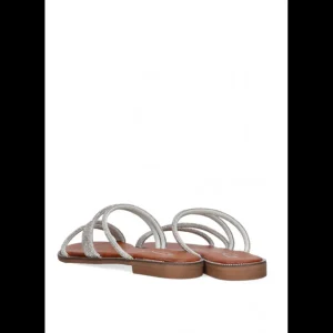 Calzaro Sandalias | Sandalia Plana 10047 Etika Tamarindo Plata .