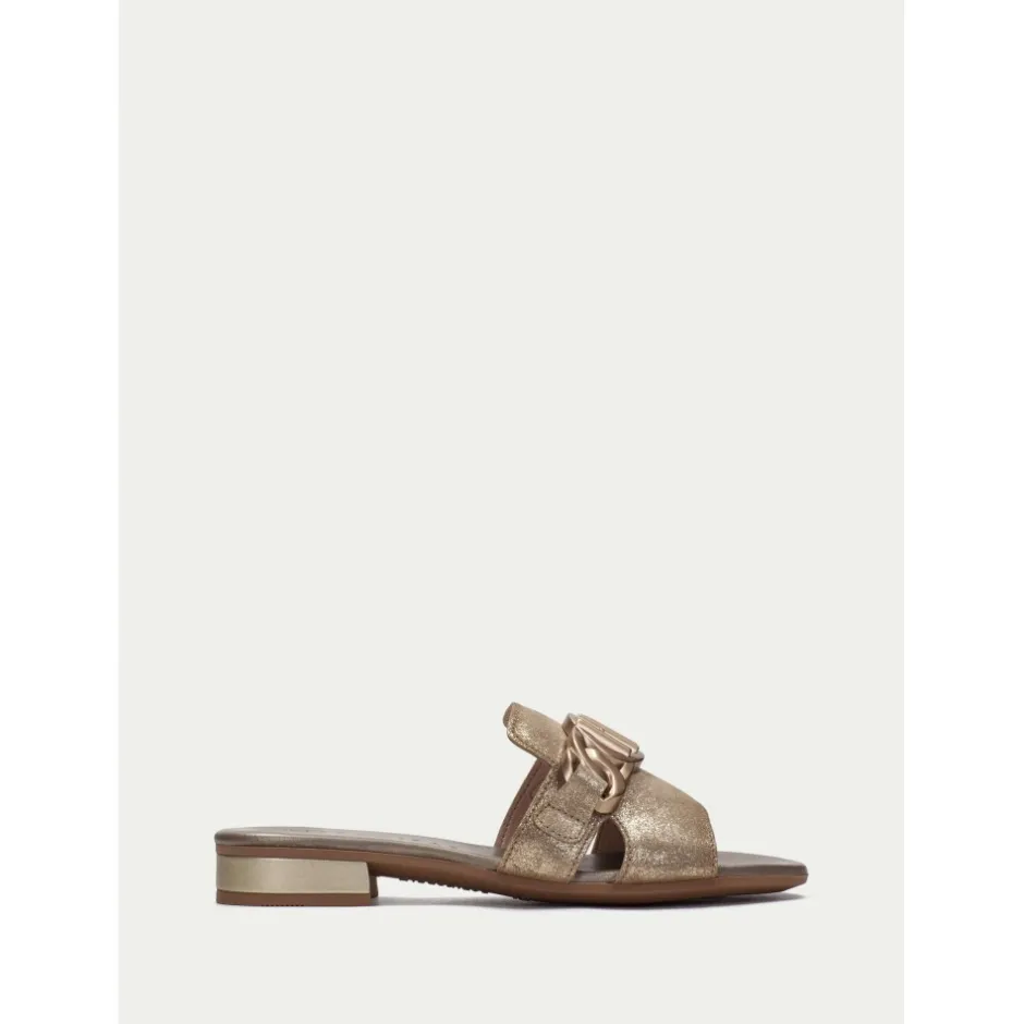 sandalia_plana_lena__oro__3.webp Calzaro Zuecos | Sandalias | Sandalia Plana Lena 243268 Oro Platino