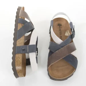 Calzaro Sandalias | Sandalias Bios 9537 Marino, Gris, Pardo.