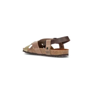 Calzaro Sandalias | Sandalias Bios 9537 Pardo,Moka y Kaki