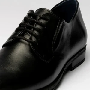 Calzaro Zapatos Con Cordones | Zapato Blucher Hombre con Cordones 112 Negro