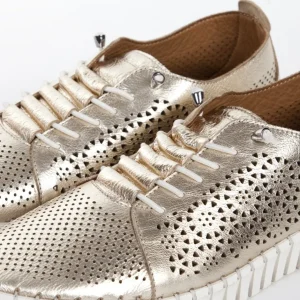 Calzaro Zapatos Con Cordones | Zapato Cordón Sport 215 en Oro