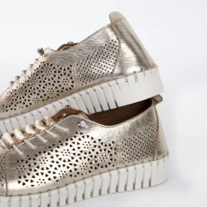 Calzaro Zapatos Con Cordones | Zapato Cordón Sport 215 en Oro
