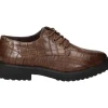 Calzaro Zapatos Con Cordones | Zapato cordones 18127 en marrón