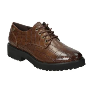Calzaro Zapatos Con Cordones | Zapato cordones 18127 en marrón