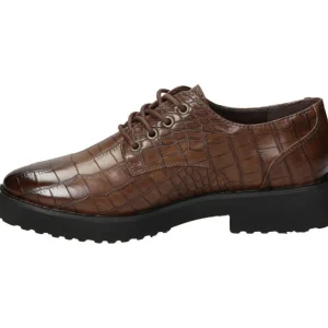 Calzaro Zapatos Con Cordones | Zapato cordones 18127 en marrón