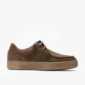 Calzaro Zapatos Con Cordones | Zapato Deportivo Gualavi Hombre 4731 Combinado en Marrón Nobuck