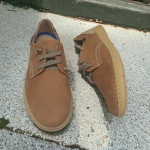Calzaro Zapatos Con Cordones | Zapato Nobuck 4092 Nuez Marrón Cordones Elásticos
