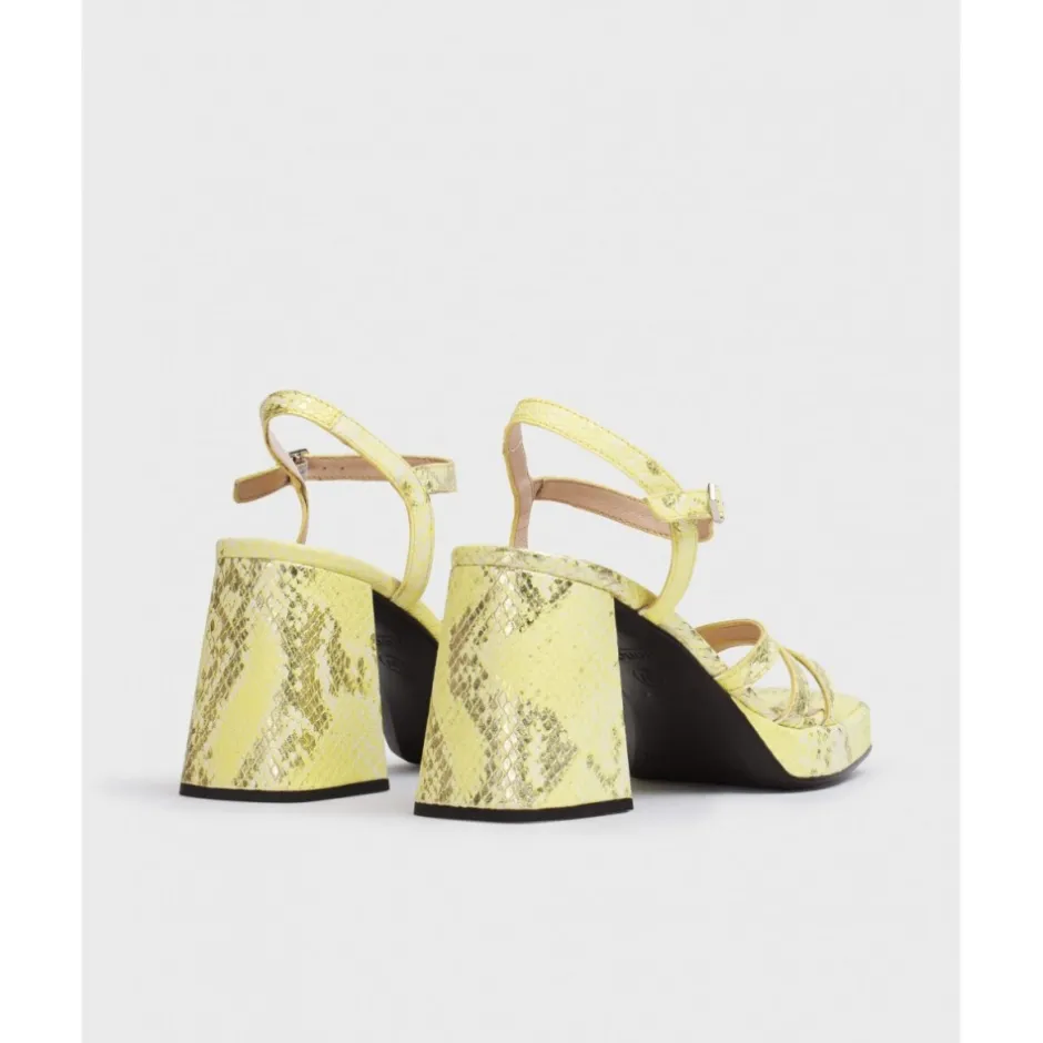 zapato_sandalia_love__lim_4.webp Calzaro Zapatos De Tac贸n | Zapato Sandalia Love 5303 Lima Print