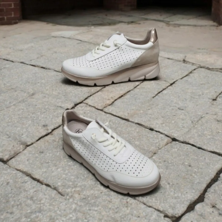 zapatos_deportivos_sneake_2-2.webp Calzaro Deportivas | Casual | Zapatos Deportivos Sneakers 184 Blanco
