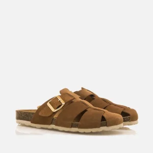 Calzaro Zuecos | Sandalias Bios | Zueco 59375 Liliane Serraje Marrón Avellana .